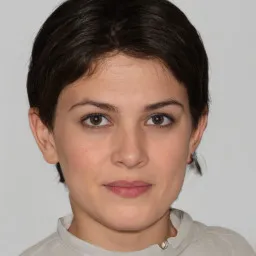Avatar Lê Văn C
